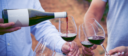 5 consejos para servir el vino como un profesional