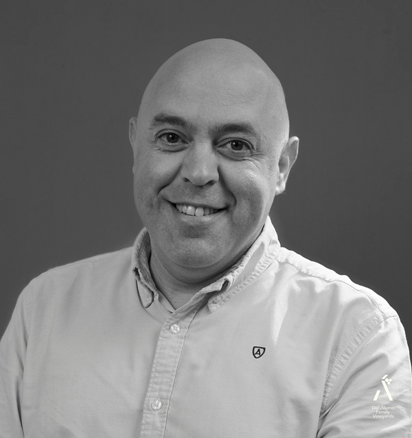 <p>Emilio J. Cuéllar</p>
