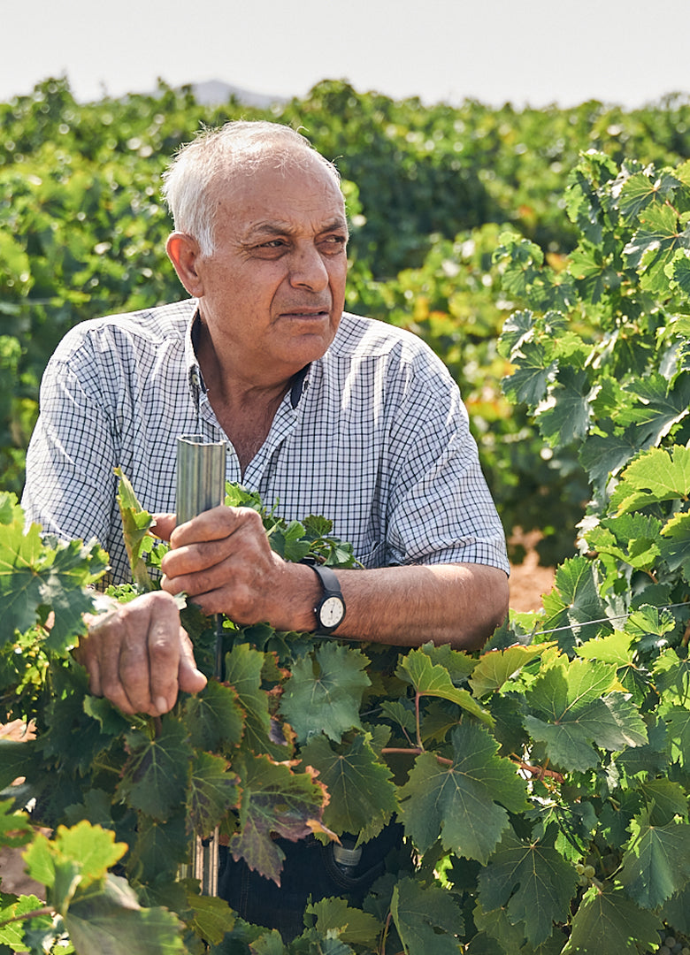 <p>Somos una familia de agricultores de origen humilde, con una profunda conexión con la tierra y una vocación clara: cultivar viñedos de <strong>calidad</strong> y elaborar vinos <strong>auténticos</strong>. Desde nuestros inicios, el trabajo diario, el esfuerzo constante y la pasión por la vid han sido el motor que ha definido quiénes somos, nuestra <strong>identidad</strong>. </p>