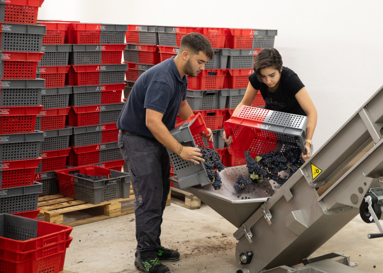 <p>En Del Álamo Family Vineyards creemos en un modelo de negocio donde las personas son el alma. Apostamos por un <strong>equipo</strong> humano <strong>diverso y multidisciplinar.</strong> Somos conscientes de que nuestro equipo es el activo más valioso de la empresa. </p><p>Cada miembro del equipo aporta su conocimiento, visión y compromiso para impulsar la bodega hacia nuevos horizontes. Trabajamos de forma coordinada, compartiendo ideas y cuidando cada detalle con el objetivo común de ofrecer vinos de <strong>alta calidad</strong> que reflejen nuestra identidad.<br/><br/></p>