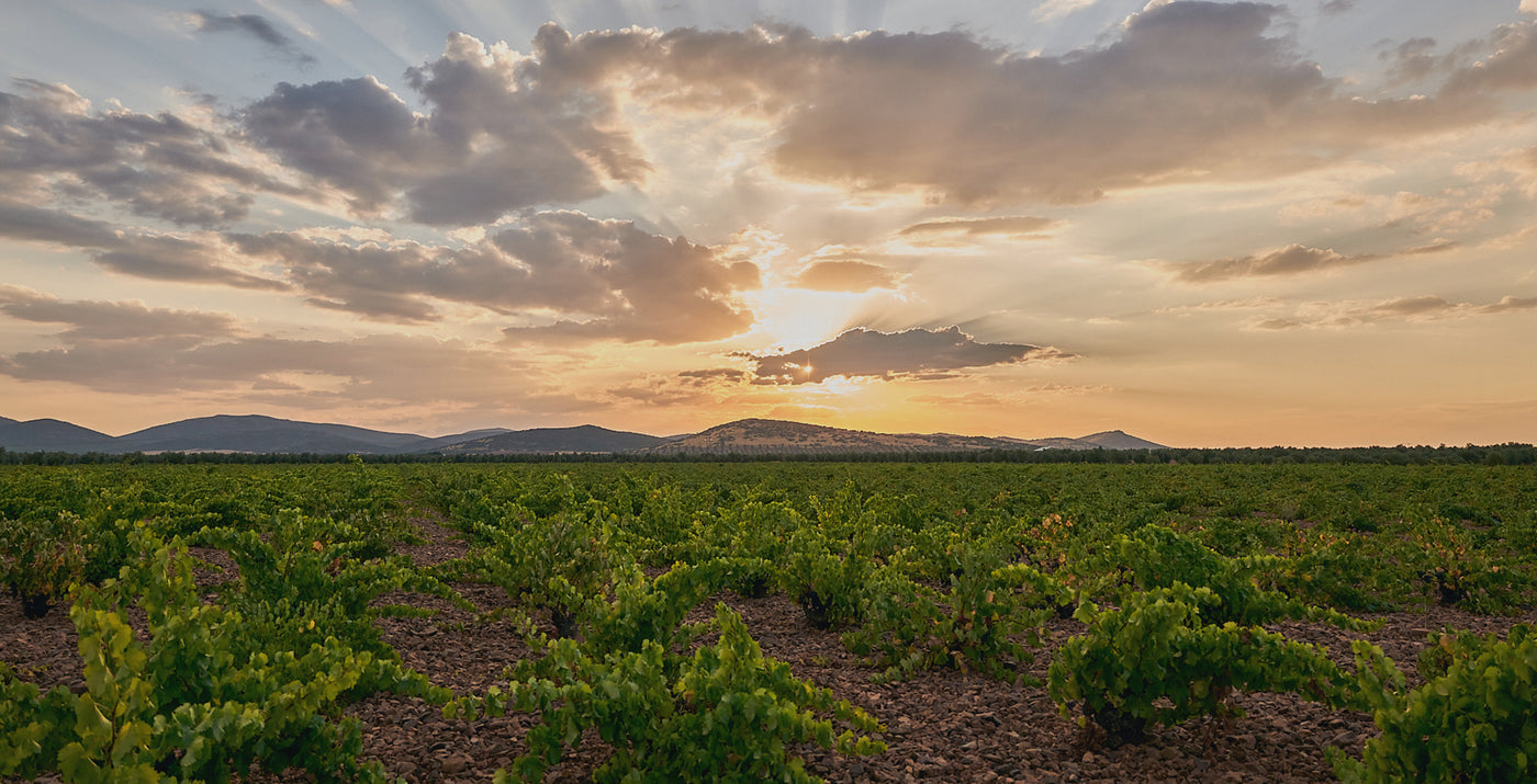 Descripción de la imagen