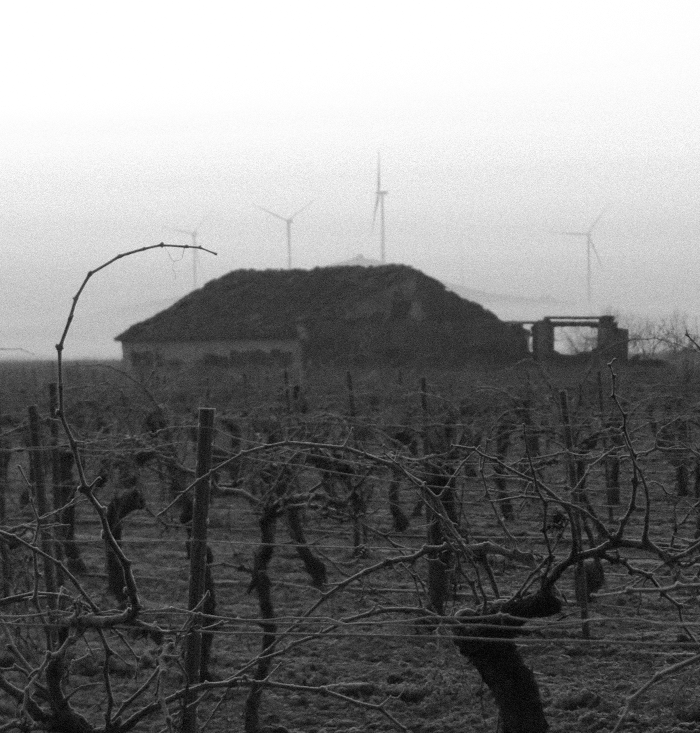  In 1987, Alfonso Cuéllar Rodríguez , our father, took over the care of the vineyards and expanded the area under cultivation . It was then that we incorporated new, internationally recognized grape varieties, focusing on diversity and quality. In 2015 , the third generation— Alfonso, Daniel, and Emilio Cuéllar del Álamo —took over management of the family project. Our goal: to produce wines with their own character, taking care of every detail from the vine to the glass. Starting in 2020 , we decided to take a further step: building our own winery, Del Álamo Family Vineyards , due to be completed in 2025.