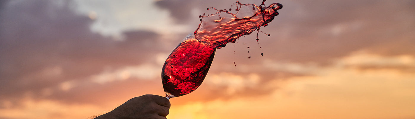 Descripción de la imagen